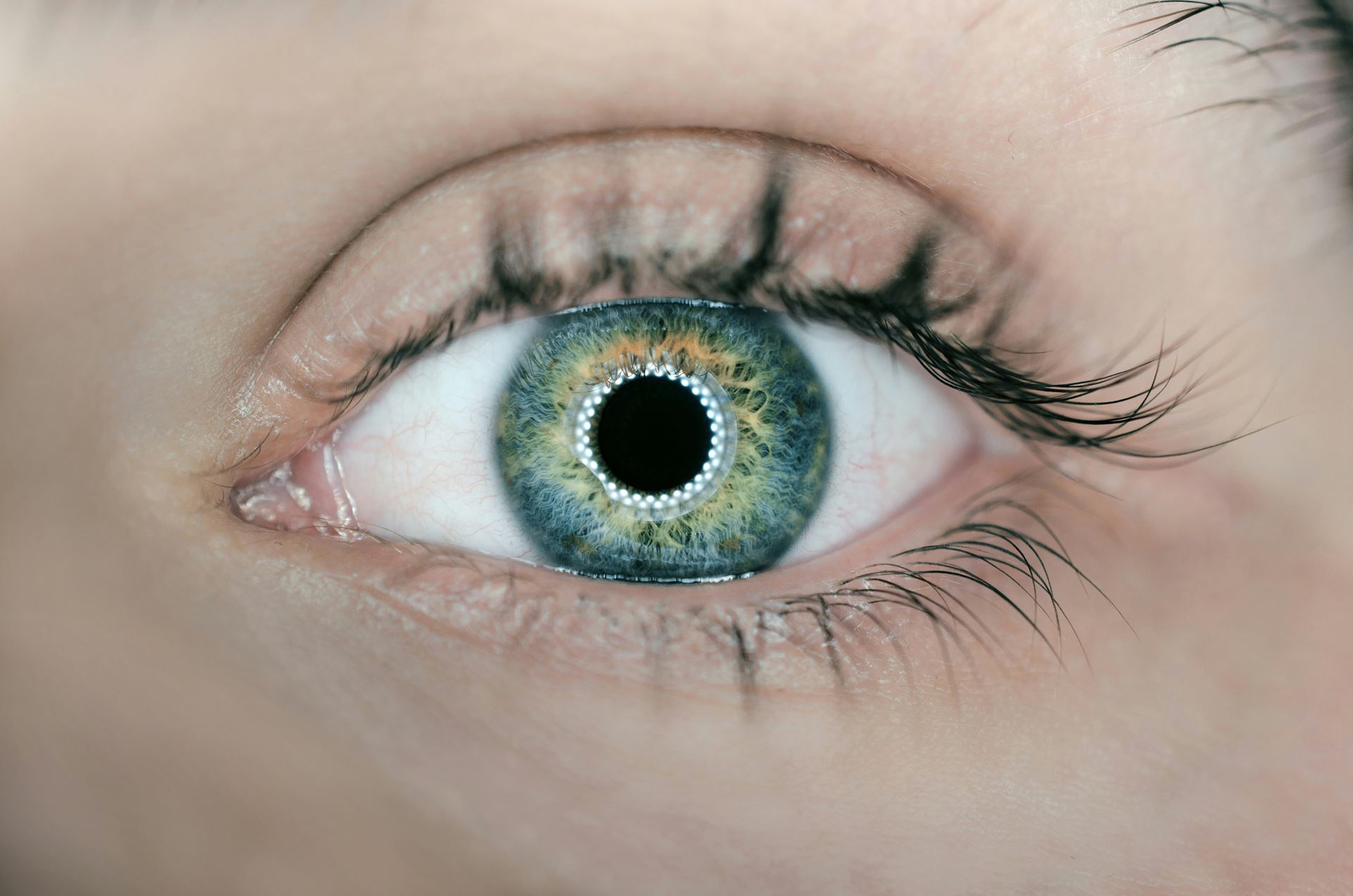 Eye Clinic