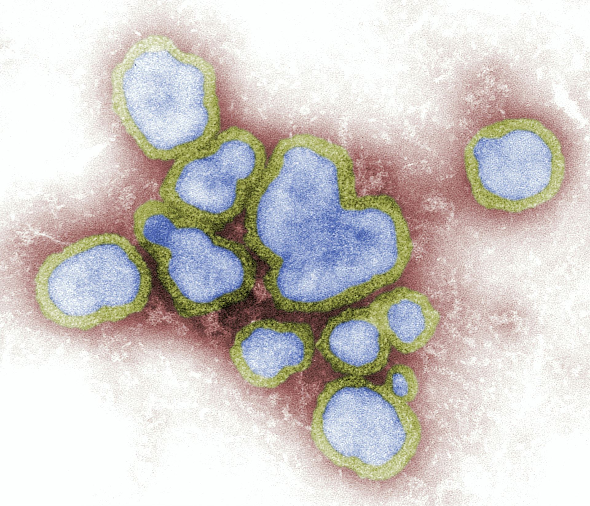 Flu Vaccination